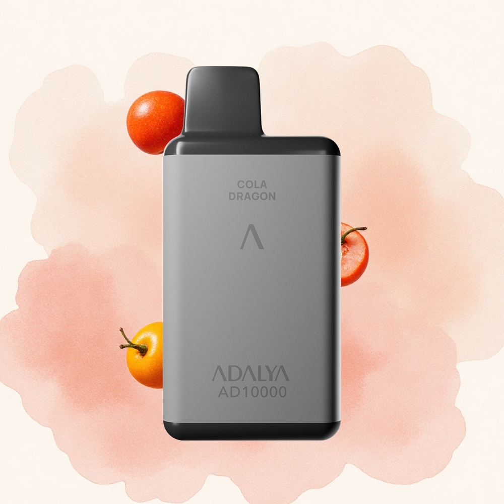 Kola Zmaj Adalya AD 10000 Pufova Пуњење преко УСБ-Ц